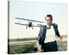 Cary Grant, North by Northwest, 1959-null-Stretched Canvas