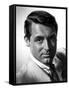 Cary Grant-null-Framed Stretched Canvas