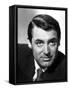 Cary Grant-null-Framed Stretched Canvas