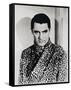 Cary Grant-null-Framed Stretched Canvas