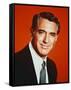 Cary Grant-null-Framed Stretched Canvas