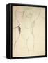 Caryatid, C.1913-14 (Pen and Ink on Paper)-Amedeo Modigliani-Framed Stretched Canvas