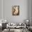 Caryatid-Amedeo Modigliani-Stretched Canvas displayed on a wall