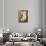 Caryatid-Amedeo Modigliani-Mounted Premium Giclee Print displayed on a wall
