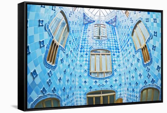 Casa Batllo, Barcelona, Catalonia, Spain-Marco Simoni-Framed Stretched Canvas