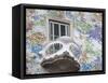 Casa Batllo By Gaudi, Barcelona, Catalonia, Spain, Europe-Richard Cummins-Framed Stretched Canvas