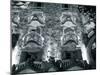 Casa Batllo (By Gaudi), Passeig De Gracia, Barcelona, Spain-Jon Arnold-Mounted Photographic Print