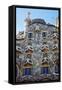 Casa Batllo, UNESCO World Heritage Site, Barcelona, Catalonia, Spain, Europe-Mark Mawson-Framed Stretched Canvas