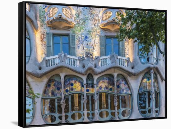 Casa Batllo, UNESCO World Heritage Site, Barcelona, Catalonia, Spain, Europe-Angelo Cavalli-Framed Stretched Canvas