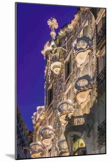 Casa Batllo, UNESCO World Heritage Site, Barcelona, Catalonia, Spain, Europe-Angelo Cavalli-Mounted Photographic Print