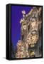 Casa Batllo, UNESCO World Heritage Site, Barcelona, Catalonia, Spain, Europe-Angelo Cavalli-Framed Stretched Canvas