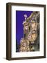 Casa Batllo, UNESCO World Heritage Site, Barcelona, Catalonia, Spain, Europe-Angelo Cavalli-Framed Photographic Print