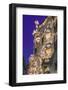 Casa Batllo, UNESCO World Heritage Site, Barcelona, Catalonia, Spain, Europe-Angelo Cavalli-Framed Photographic Print