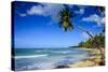 Casa Blanca Beach, Las Terrenas, Dominican Republic, West Indies, Caribbean, Central America-Michael Runkel-Stretched Canvas