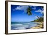 Casa Blanca Beach, Las Terrenas, Dominican Republic, West Indies, Caribbean, Central America-Michael Runkel-Framed Photographic Print