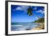 Casa Blanca Beach, Las Terrenas, Dominican Republic, West Indies, Caribbean, Central America-Michael Runkel-Framed Photographic Print