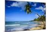 Casa Blanca Beach, Las Terrenas, Dominican Republic, West Indies, Caribbean, Central America-Michael Runkel-Mounted Photographic Print