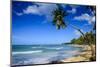 Casa Blanca Beach, Las Terrenas, Dominican Republic, West Indies, Caribbean, Central America-Michael Runkel-Mounted Photographic Print