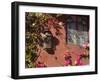 Casa De La Cuesta, San Miguel, Guanajuato State, Mexico-Julie Eggers-Framed Photographic Print