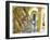 Casa De Las Condes De Casa Bayona, Plaza De La Catedral, Havana, Museum of Colonial Art, Cuba-Paul Harris-Framed Photographic Print