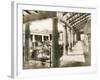 Casa Degli Amorini Dorati, Pompeii, Italy, C1900s-null-Framed Giclee Print