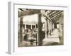 Casa Degli Amorini Dorati, Pompeii, Italy, C1900s-null-Framed Giclee Print