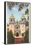 Casa del Prado, Balboa Park, San Diego, California-null-Framed Stretched Canvas