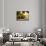 Casa Lleo Morera, Barcelona, Spain-null-Framed Stretched Canvas displayed on a wall