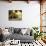 Casa Lleo Morera, Barcelona, Spain-null-Framed Stretched Canvas displayed on a wall