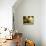 Casa Lleo Morera, Barcelona, Spain-null-Photographic Print displayed on a wall