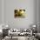 Casa Lleo Morera, Barcelona, Spain-null-Photographic Print displayed on a wall