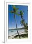 Casa Marina Bay Beach, Las Galeras, Dominican Republic-Natalie Tepper-Framed Photo