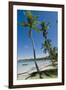 Casa Marina Bay Beach, Las Galeras, Dominican Republic-Natalie Tepper-Framed Photo