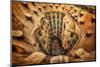 Casa MilA , La Pedrera, Barcelona.-Massimo Cuomo-Mounted Photographic Print