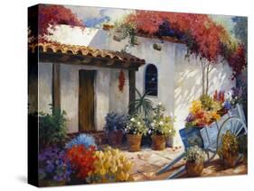 Casa Paloma-Carolyne Hawley-Stretched Canvas