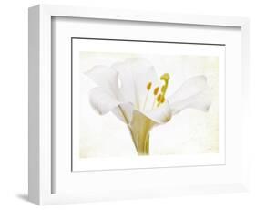 Casablance White-null-Framed Art Print