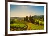 Casale Marittimo Village, Vineyards and Countryside Landscape in Maremma. Pisa Tuscany, Italy Europ-stevanzz-Framed Photographic Print