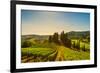 Casale Marittimo Village, Vineyards and Countryside Landscape in Maremma. Pisa Tuscany, Italy Europ-stevanzz-Framed Photographic Print