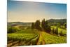 Casale Marittimo Village, Vineyards and Countryside Landscape in Maremma. Pisa Tuscany, Italy Europ-stevanzz-Mounted Photographic Print