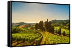 Casale Marittimo Village, Vineyards and Countryside Landscape in Maremma. Pisa Tuscany, Italy Europ-stevanzz-Framed Stretched Canvas