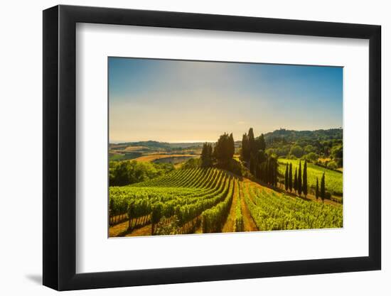 Casale Marittimo Village, Vineyards and Countryside Landscape in Maremma. Pisa Tuscany, Italy Europ-stevanzz-Framed Photographic Print