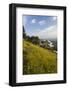 Casares, Andalusia, Spain-Peter Adams-Framed Photographic Print