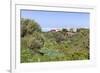 Casas Del Calvario in the Northwest, La Palma, Canary Islands, Spain, Europe-Gerhard Wild-Framed Photographic Print