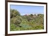 Casas Del Calvario in the Northwest, La Palma, Canary Islands, Spain, Europe-Gerhard Wild-Framed Photographic Print