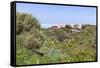 Casas Del Calvario in the Northwest, La Palma, Canary Islands, Spain, Europe-Gerhard Wild-Framed Stretched Canvas