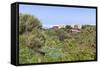 Casas Del Calvario in the Northwest, La Palma, Canary Islands, Spain, Europe-Gerhard Wild-Framed Stretched Canvas