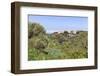 Casas Del Calvario in the Northwest, La Palma, Canary Islands, Spain, Europe-Gerhard Wild-Framed Photographic Print