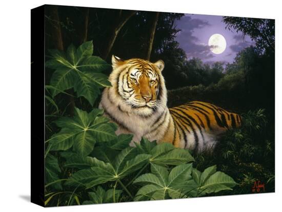 Stretched Canvas Print, , large