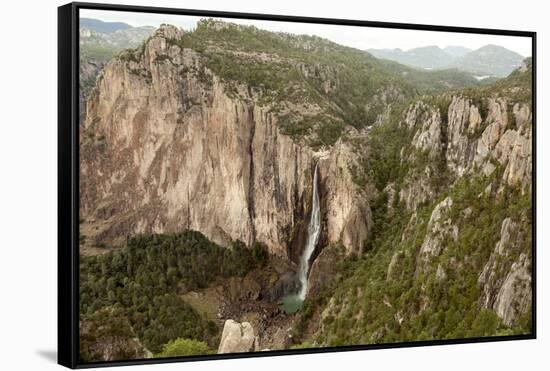 Cascada de Basaseachi, a 246m waterfall, Copper Canyon, Chihuahua, Mexico, North America-Tony Waltham-Framed Stretched Canvas