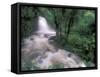 Cascade and Cloud Rainforest, Machu Picchu, Peru-Andres Morya-Framed Stretched Canvas